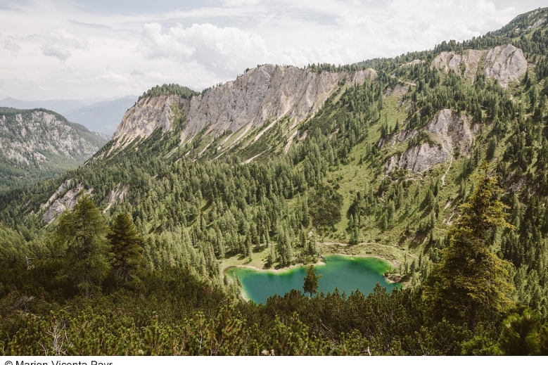 Hotel Trek Safari - King Dachstein Trail pro běžce